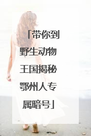 带你到野生动物王国揭秘鄂州人专属暗号