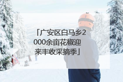 广安区白马乡2000余亩花椒迎来丰收采摘季