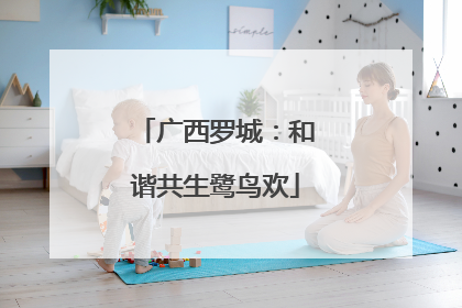 广西罗城：和谐共生鹭鸟欢