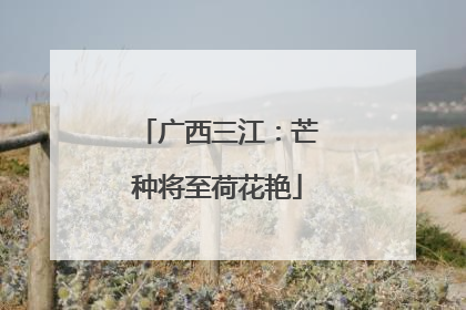 广西三江：芒种将至荷花艳