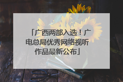 广西两部入选！广电总局优秀网络视听作品最新公布