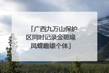 广西九万山保护区同时记录金斑喙凤蝶雌雄个体