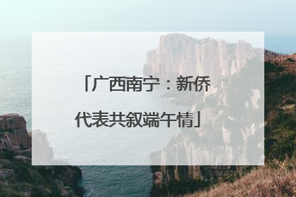 广西南宁：新侨代表共叙端午情