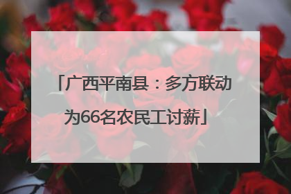 广西平南县：多方联动为66名农民工讨薪