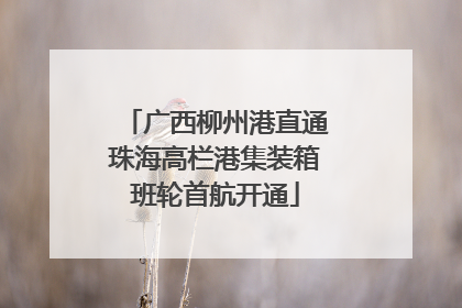 广西柳州港直通珠海高栏港集装箱班轮首航开通