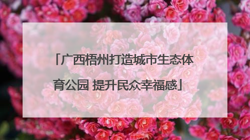 广西梧州打造城市生态体育公园 提升民众幸福感