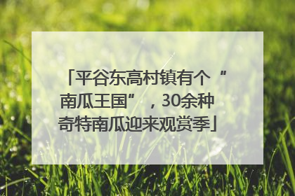 平谷东高村镇有个“南瓜王国”，30余种奇特南瓜迎来观赏季
