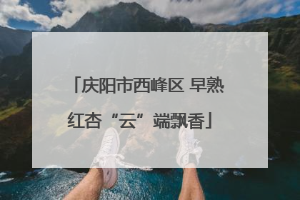 庆阳市西峰区 早熟红杏“云”端飘香