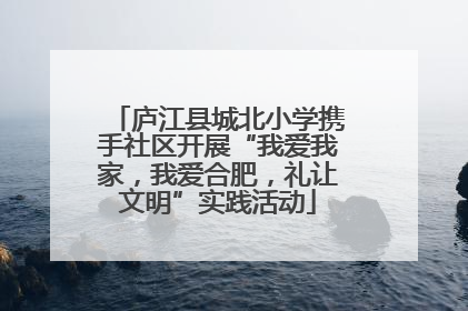庐江县城北小学携手社区开展“我爱我家，我爱合肥，礼让文明”实践活动