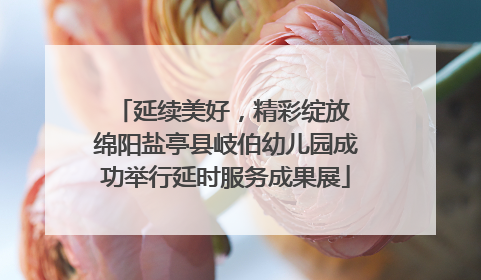 延续美好，精彩绽放 绵阳盐亭县岐伯幼儿园成功举行延时服务成果展