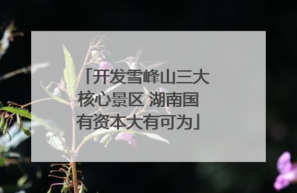 开发雪峰山三大核心景区 湖南国有资本大有可为