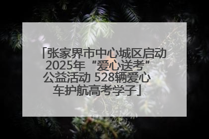 张家界市中心城区启动2025年“爱心送考”公益活动 528辆爱心车护航高考学子