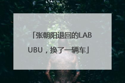 张朝阳退回的LABUBU，换了一辆车