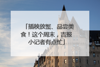 插秧放蟹、品尝美食！这个周末，吉报小记者有点忙