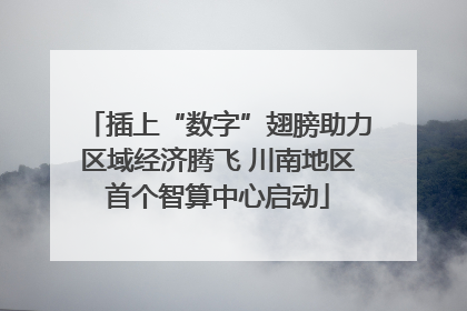 插上“数字”翅膀助力区域经济腾飞 川南地区首个智算中心启动