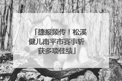 捷报频传！松溪健儿南平市赛事斩获多项佳绩