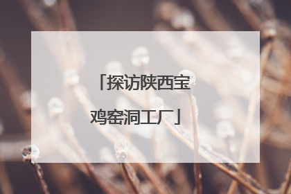 探访陕西宝鸡窑洞工厂