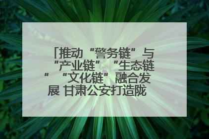 推动“警务链”与“产业链”“生态链”“文化链”融合发展 甘肃公安打造陇原旅游警务品牌