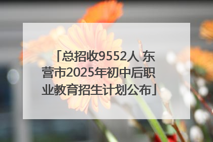 总招收9552人 东营市2025年初中后职业教育招生计划公布
