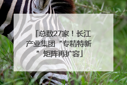 总数27家！长江产业集团“专精特新”矩阵再扩容