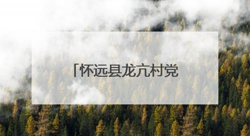 怀远县龙亢村党总支到龙亢镇实验小学开展关爱留守儿童慰问活动