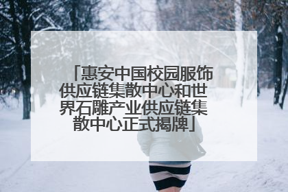 惠安中国校园服饰供应链集散中心和世界石雕产业供应链集散中心正式揭牌