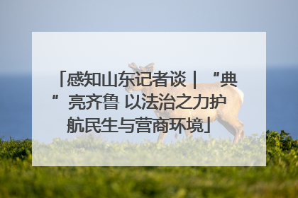 感知山东记者谈｜“典”亮齐鲁 以法治之力护航民生与营商环境