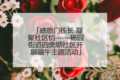 感恩门栋长 凝聚社区情——杨园街道四美塘社区开展端午主题活动