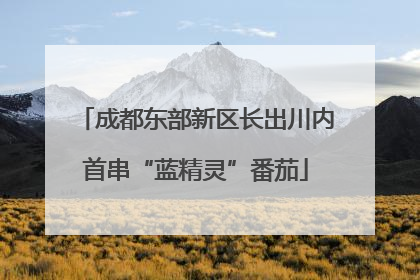 成都东部新区长出川内首串“蓝精灵”番茄
