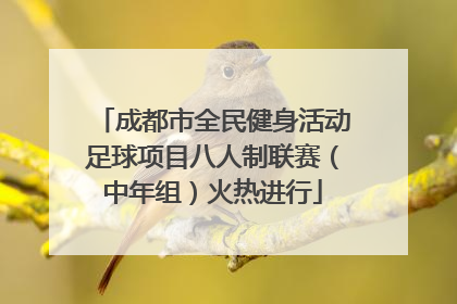 成都市全民健身活动足球项目八人制联赛（中年组）火热进行