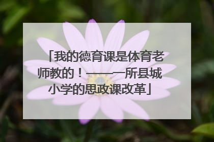 我的德育课是体育老师教的！——一所县城小学的思政课改革