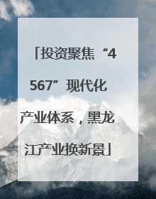 投资聚焦“4567”现代化产业体系，黑龙江产业换新景