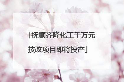 抚顺齐隆化工千万元技改项目即将投产