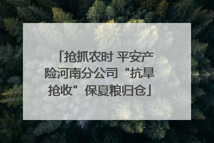 抢抓农时 平安产险河南分公司“抗旱抢收”保夏粮归仓