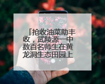抢收油菜助丰收，武陵源一中数百名师生在黄龙洞生态田园上演“青春助农记”