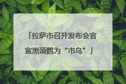 拉萨市召开发布会官宣黑颈鹤为“市鸟”