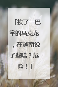 挨了一巴掌的马克龙，在越南说了些啥？危险！