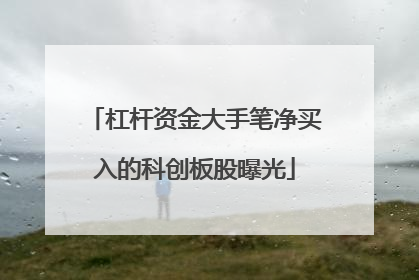 杠杆资金大手笔净买入的科创板股曝光