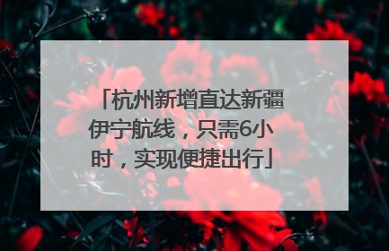 杭州新增直达新疆伊宁航线，只需6小时，实现便捷出行