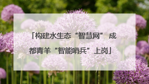 构建水生态“智慧网” 成都青羊“智能哨兵”上岗