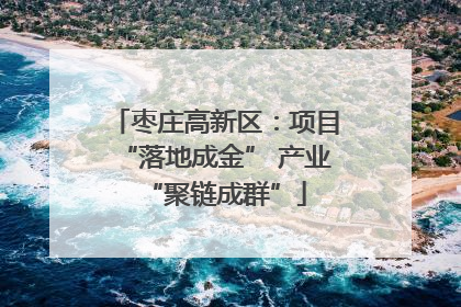 枣庄高新区：项目“落地成金” 产业“聚链成群”