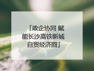 政企协同 赋能长沙高铁新城自贸经济圈
