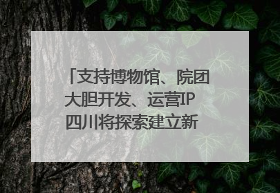 支持博物馆、院团大胆开发、运营IP 四川将探索建立新的收入分配激励机制｜新闻发布最前线