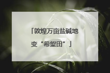 敦煌万亩盐碱地变“希望田”