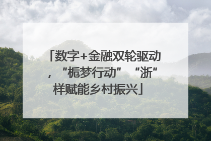 数字+金融双轮驱动，“栀梦行动”“浙”样赋能乡村振兴