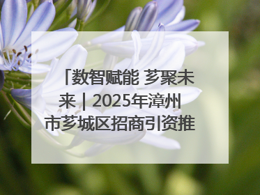 数智赋能 芗聚未来｜2025年漳州市芗城区招商引资推介暨“一县一桌菜·语堂家宴”发布会成功举办