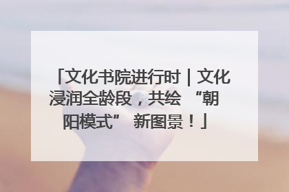 文化书院进行时｜文化浸润全龄段，共绘 “朝阳模式” 新图景！