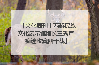 文化周刊丨西黎民族文化展示馆馆长王秀芹痴迷收藏四十载