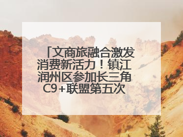 文商旅融合激发消费新活力！镇江润州区参加长三角C9+联盟第五次联席会议