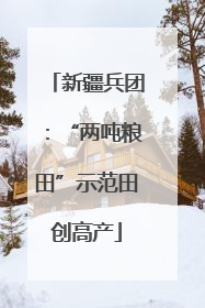 新疆兵团：“两吨粮田”示范田创高产